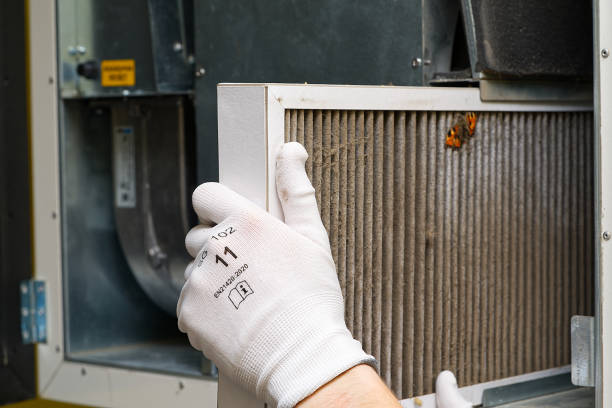 Best Emergency Air Duct Cleaning  in Bellflower, CA