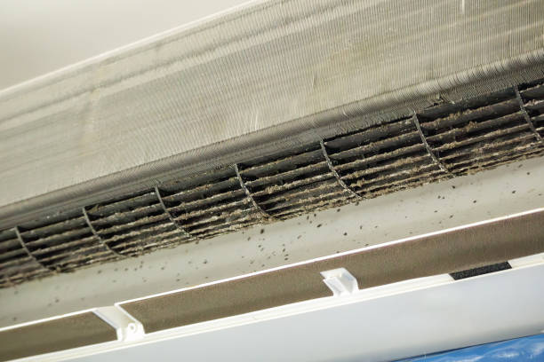 Best Professional Duct Cleaning Services  in Bellflower, CA